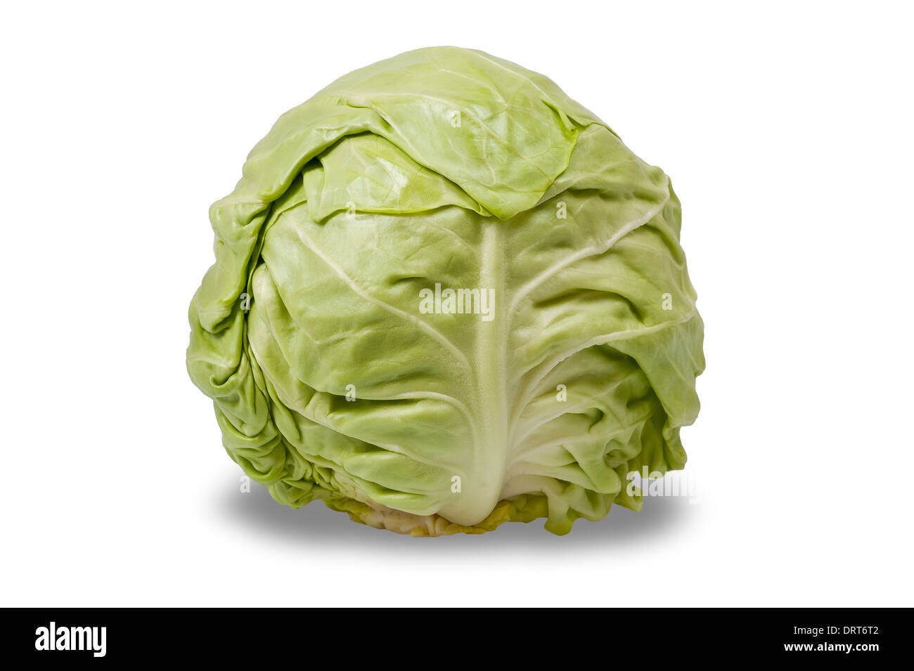 Fresh cabbage isolated on white Stock Photo