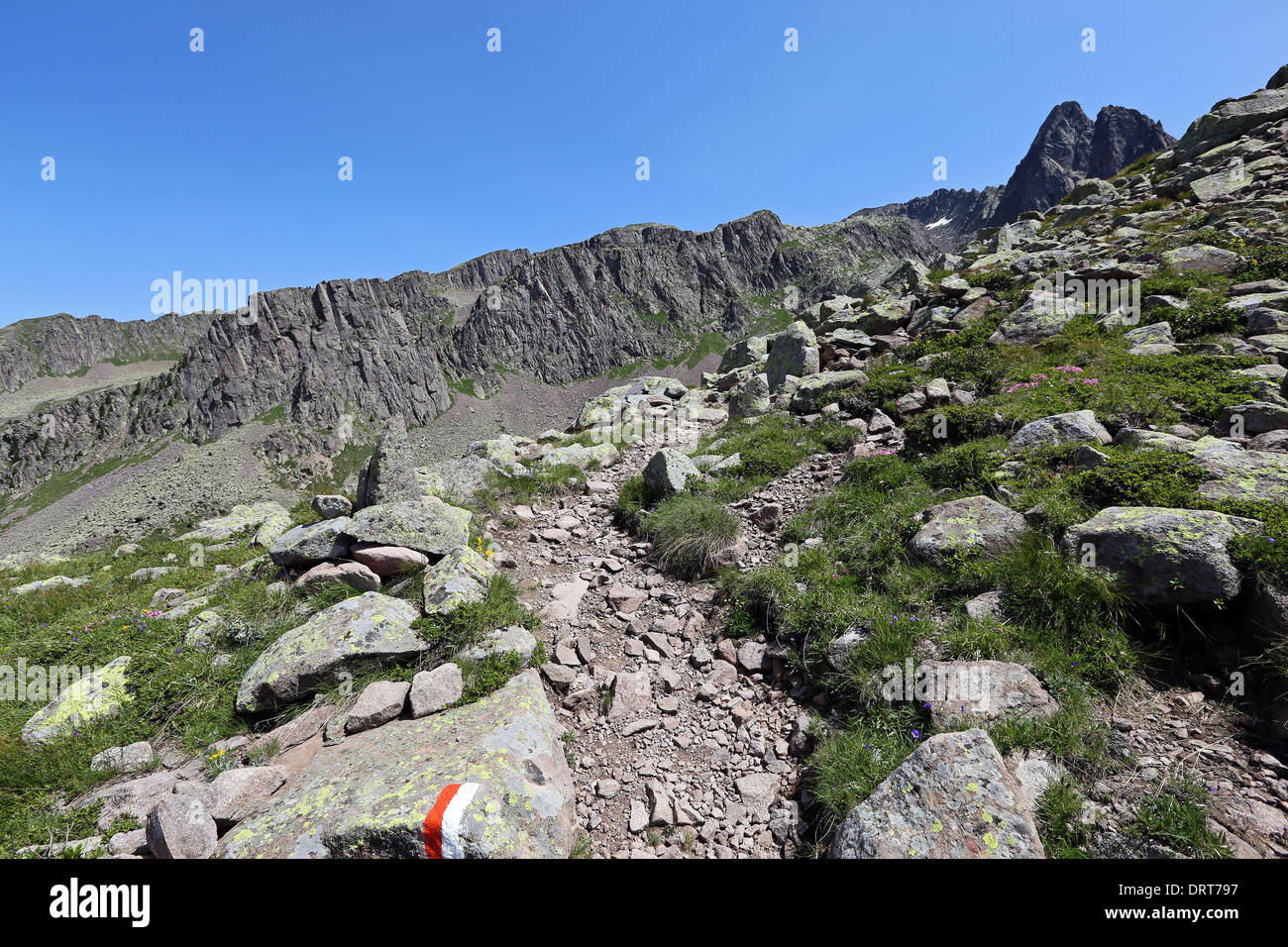 Hiking trail and porphyry rocks. The Lagorai mountain group. Trentino ...