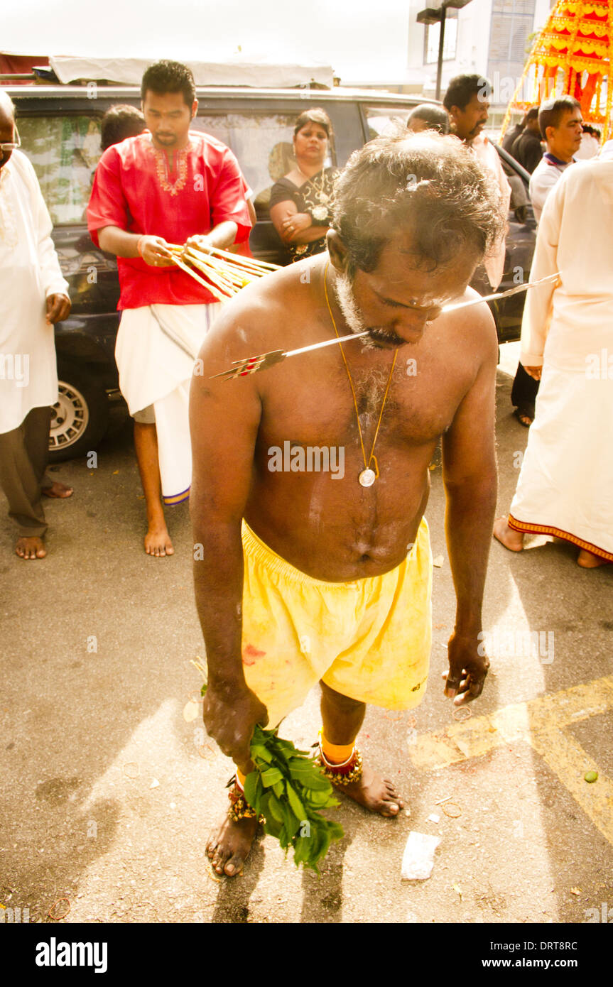 back piercing with hooks, thaipusam Stock Photo Alamy