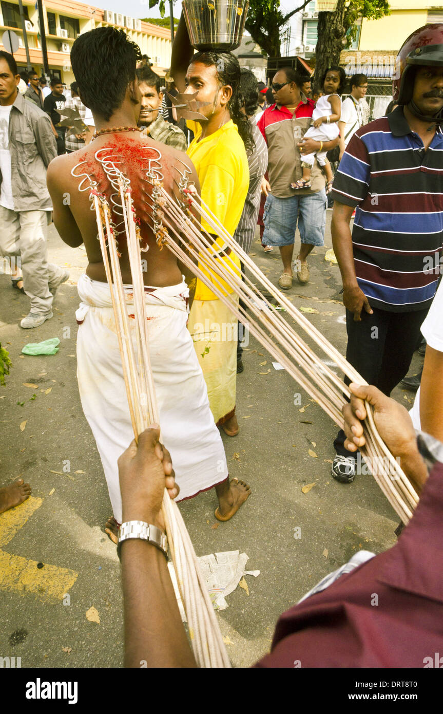 back piercing with hooks, thaipusam Stock Photo Alamy
