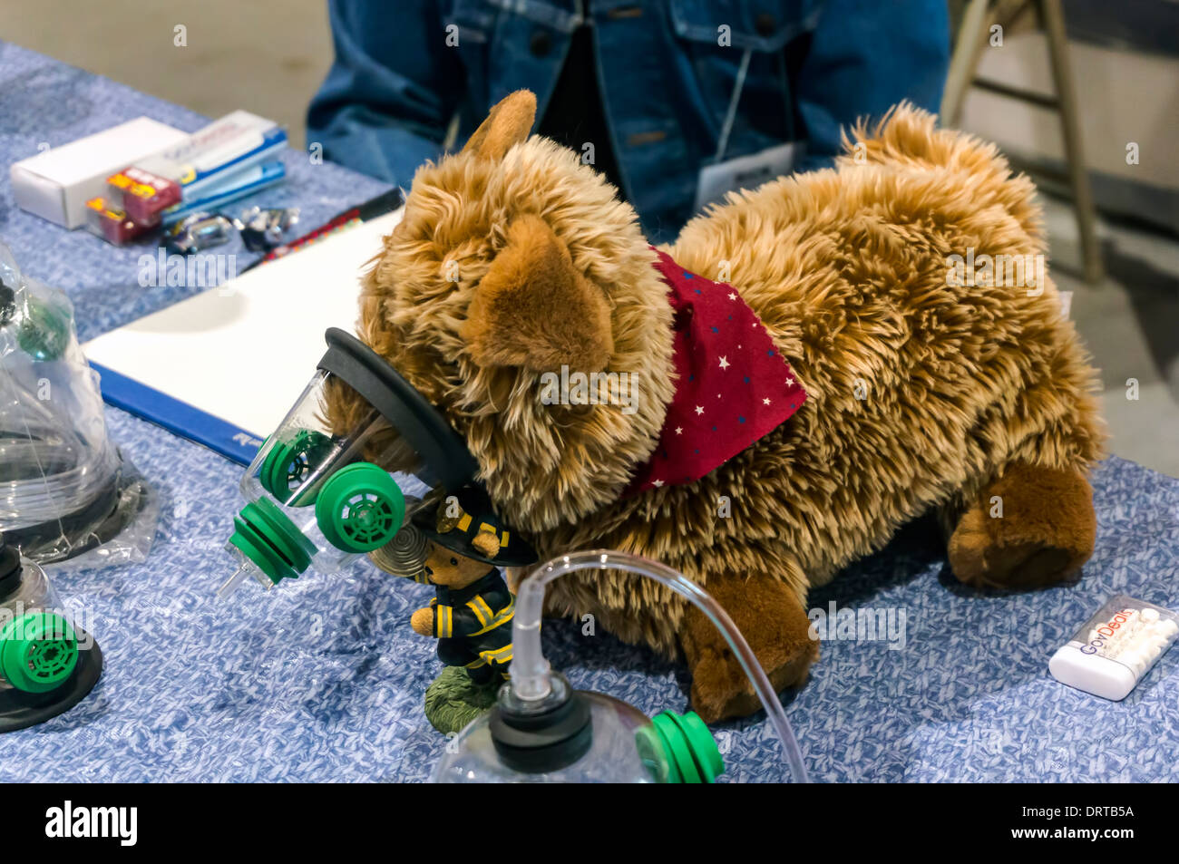 rescue pets stuffed animals