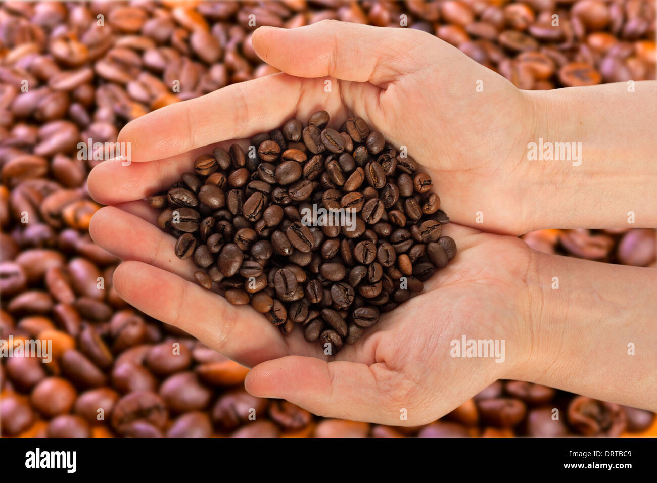 Beans of black arabic coffee. Stock Photo