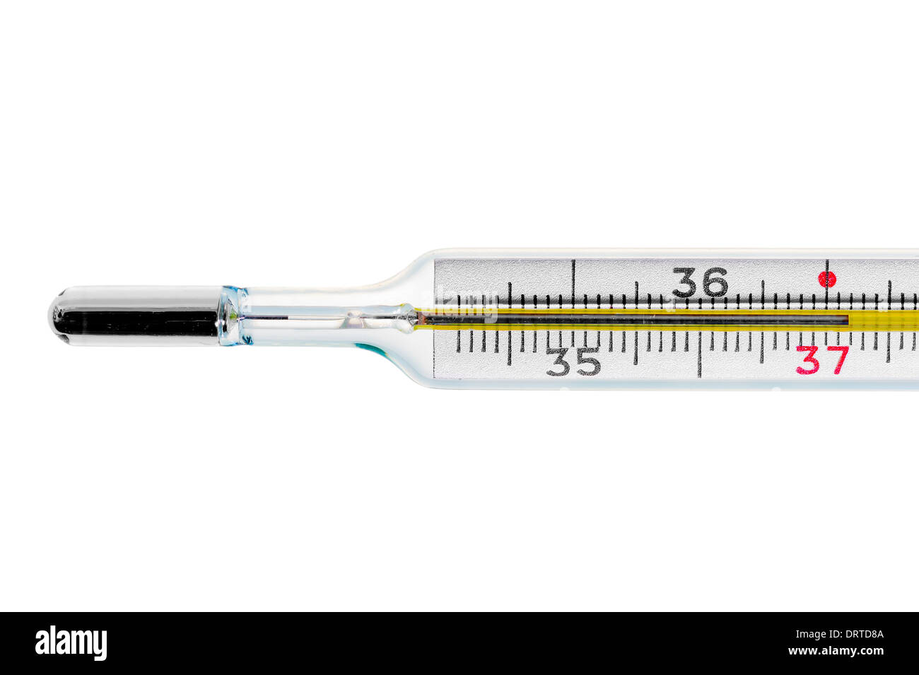 thermometer shows high body temperature Stock Photo Alamy