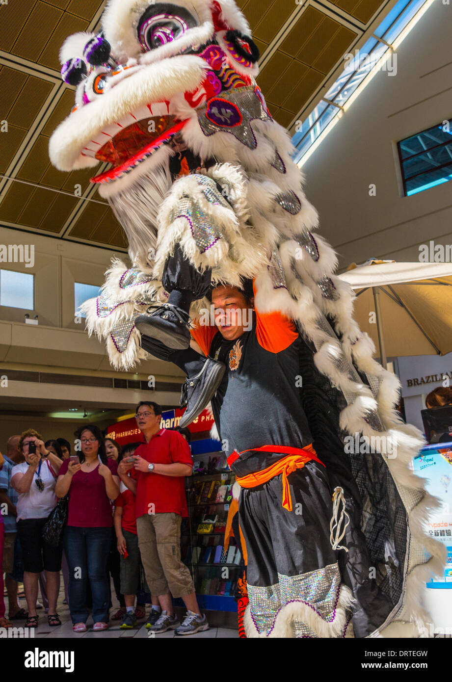 chinese new year whitehorse