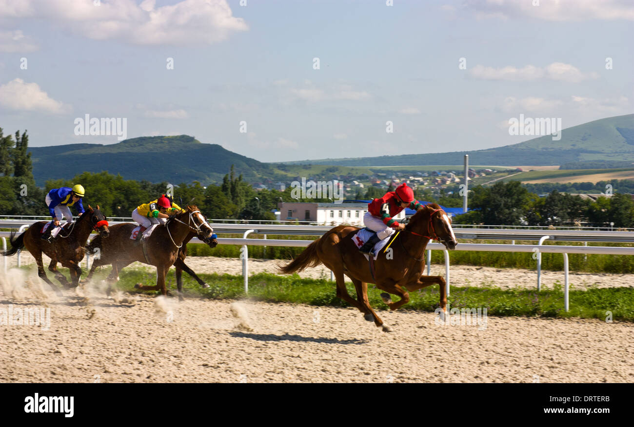 Horse racing game in hippodrome Pyatigorsk,Caucasus. Stock Photo