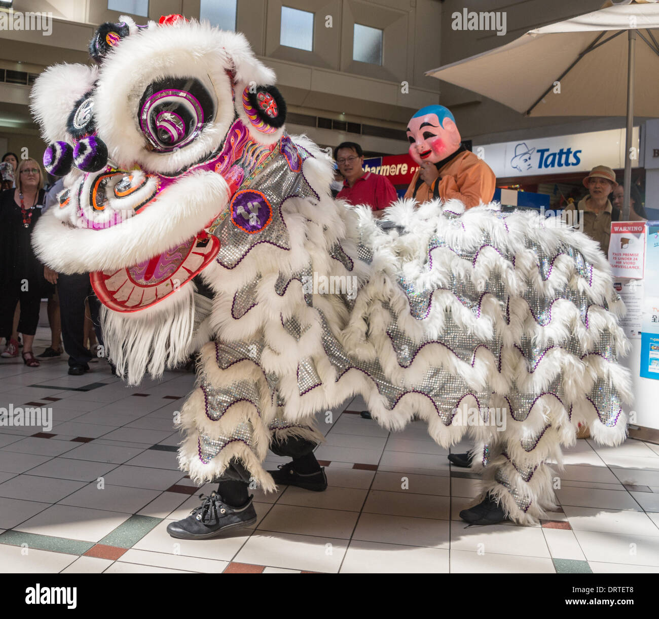 Year of the Horse in the Chinese Calendar celebrated in Whitehorse Road