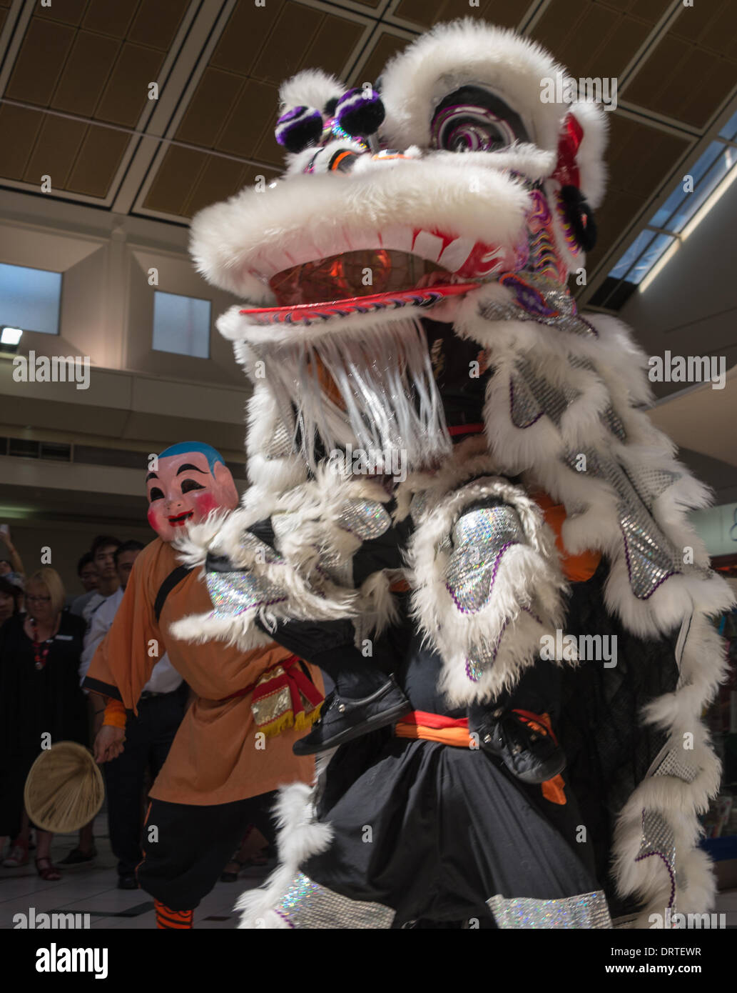 Year of the Horse in the Chinese Calendar celebrated in Whitehorse Road