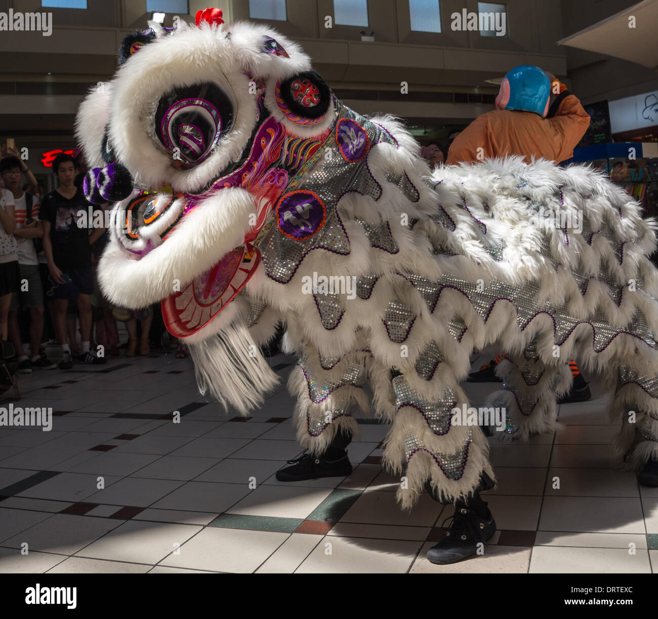 Year of the Horse in the Chinese Calendar celebrated in Whitehorse Road
