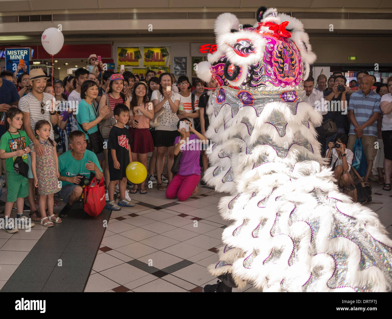 Year of the Horse in the Chinese Calendar celebrated in Whitehorse Road