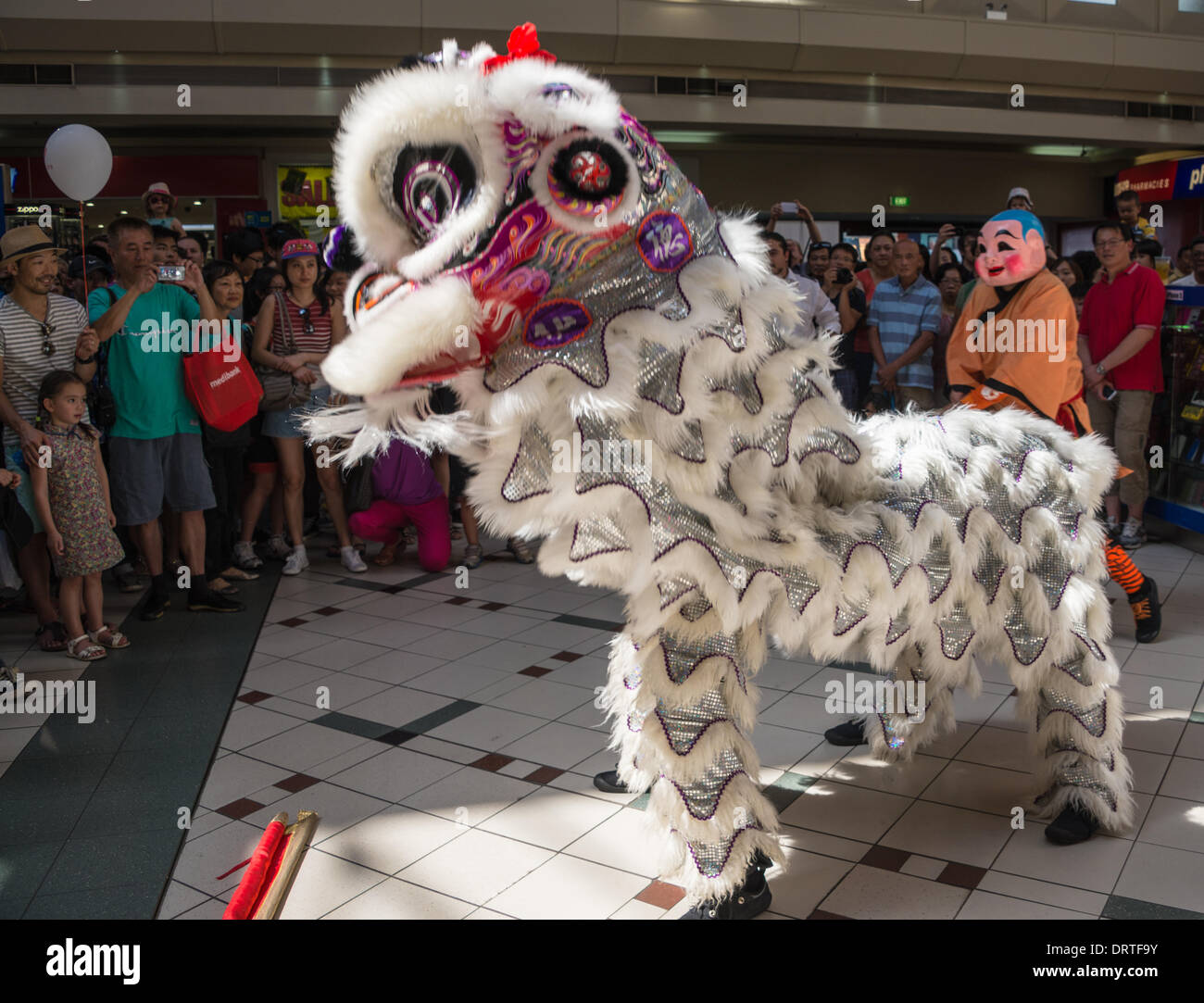 chinese new year whitehorse