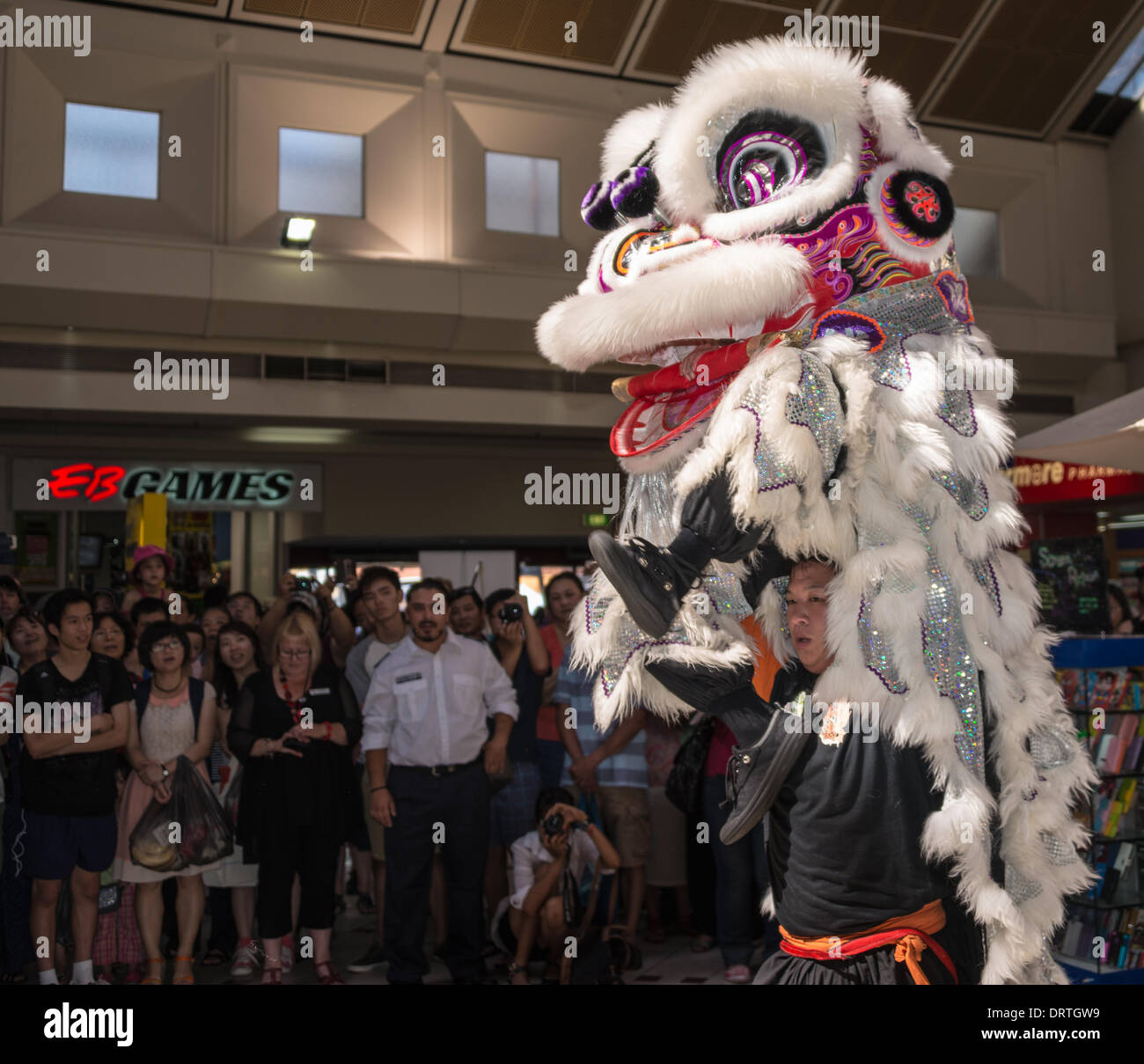 Year of the Horse in the Chinese Calendar celebrated in Whitehorse Road