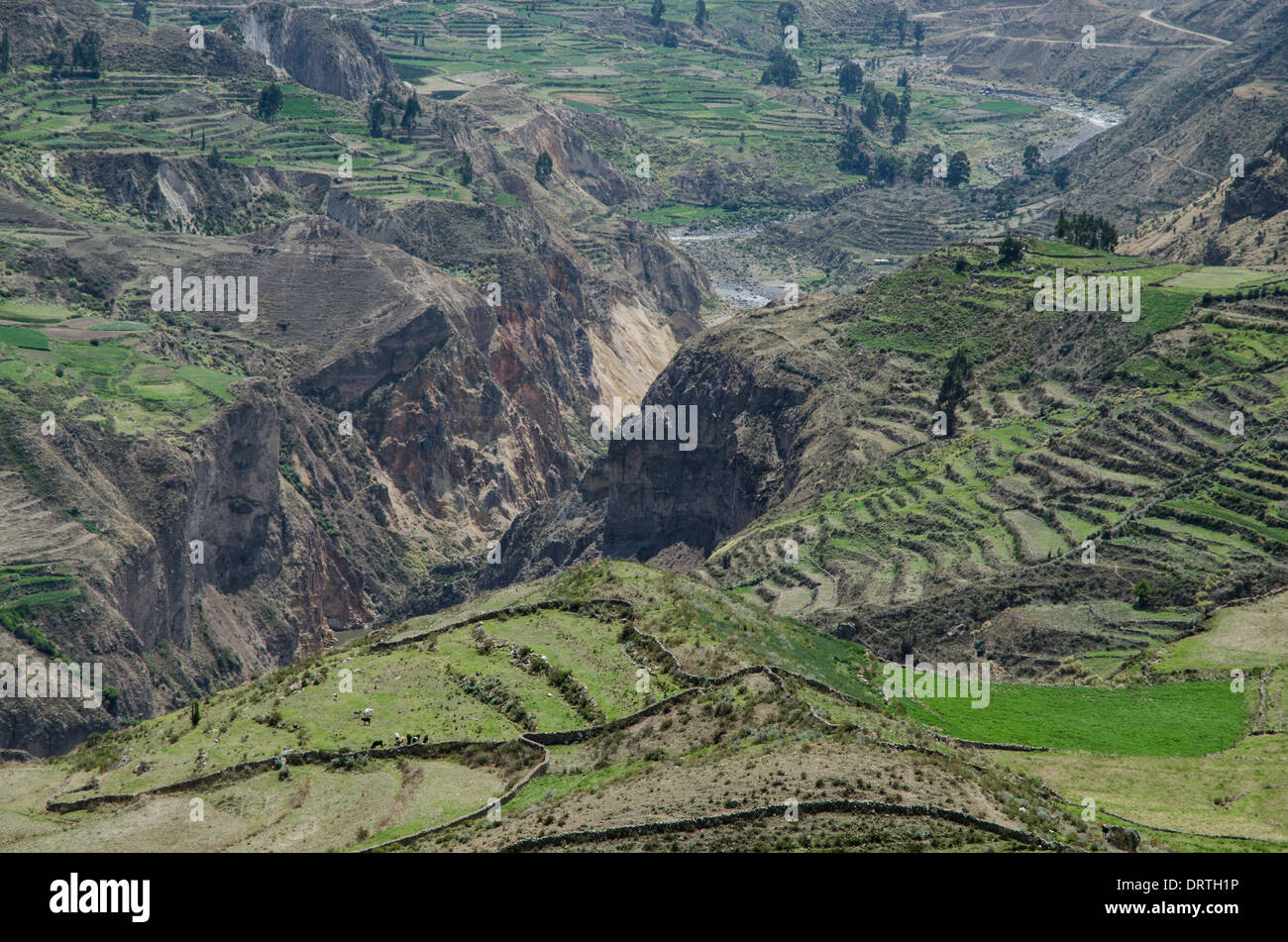 Colca Valley. Andean mountains. Arequipa. Peru. Stock Photo