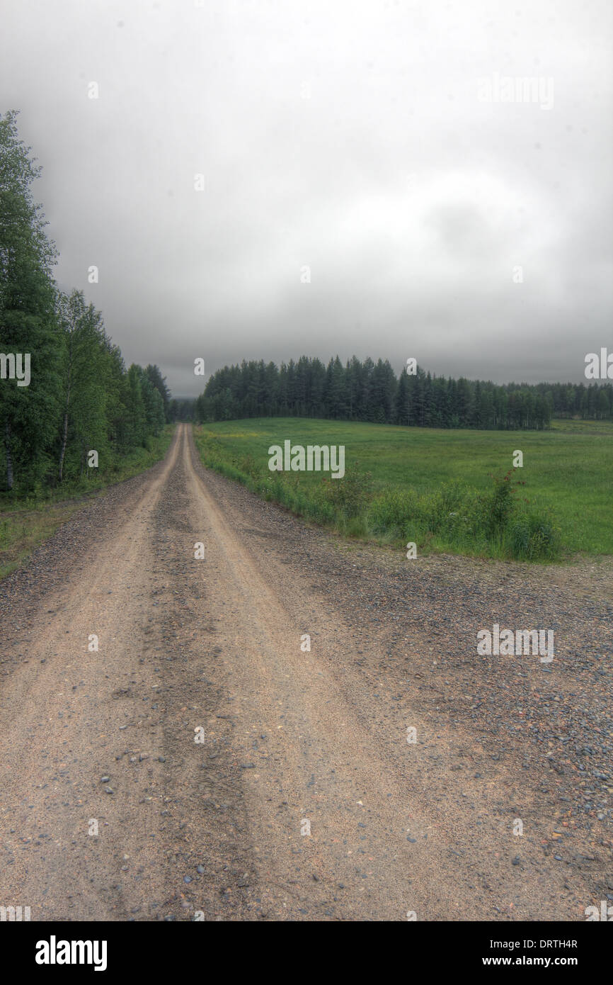 Summer landscape with green field, forest and rural road Stock Photo ...