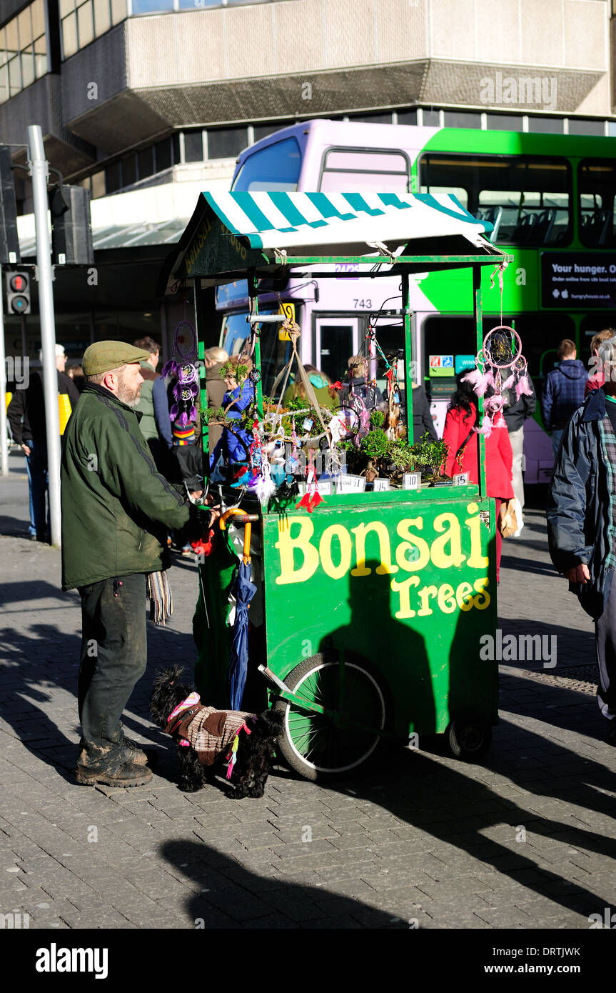 Street Pedaler Selling Bonsai Trees,Nottingham City Center Stock Photo Alamy