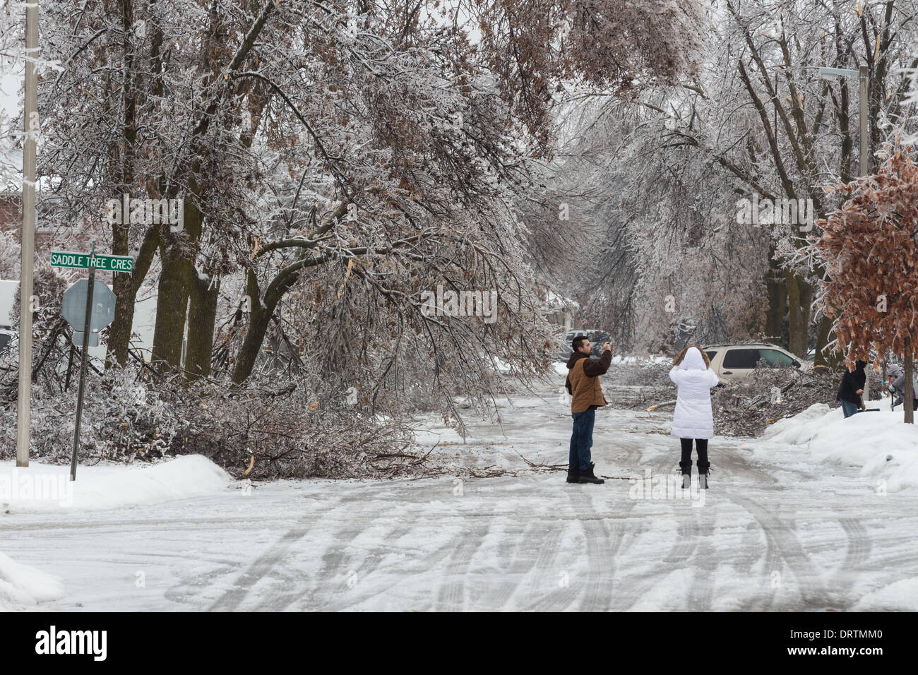 A historic ice storm downs trees, cuts power, coats homes and wreaks havoc in the Greater Toronto Area leaving residents stunned Stock Photo