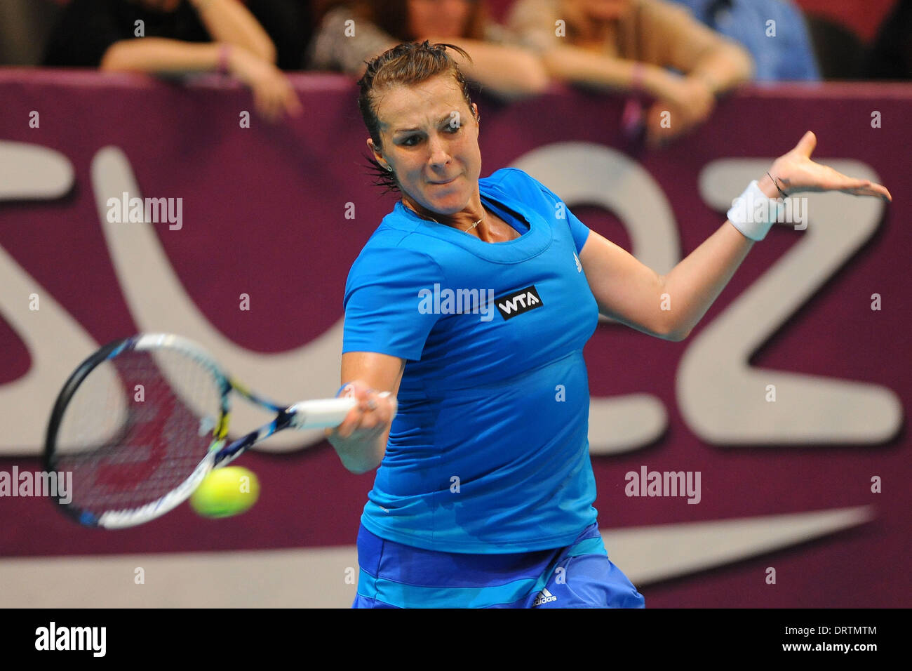 Paris, Frace. 01st Feb, 2014. Open GDF Suez WTA championship Anastasia Pavlyuchenkova (RUS) Credit:  Action Plus Sports/Alamy Live News Stock Photo