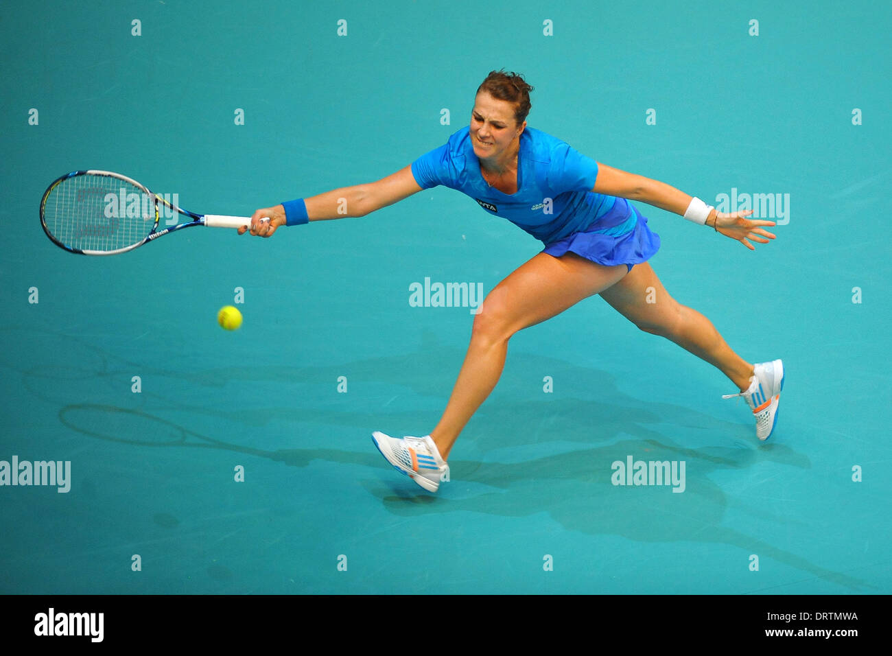 Paris, Frace. 01st Feb, 2014. Open GDF Suez WTA championship Anastasia Pavlyuchenkova (RUS) Credit:  Action Plus Sports/Alamy Live News Stock Photo