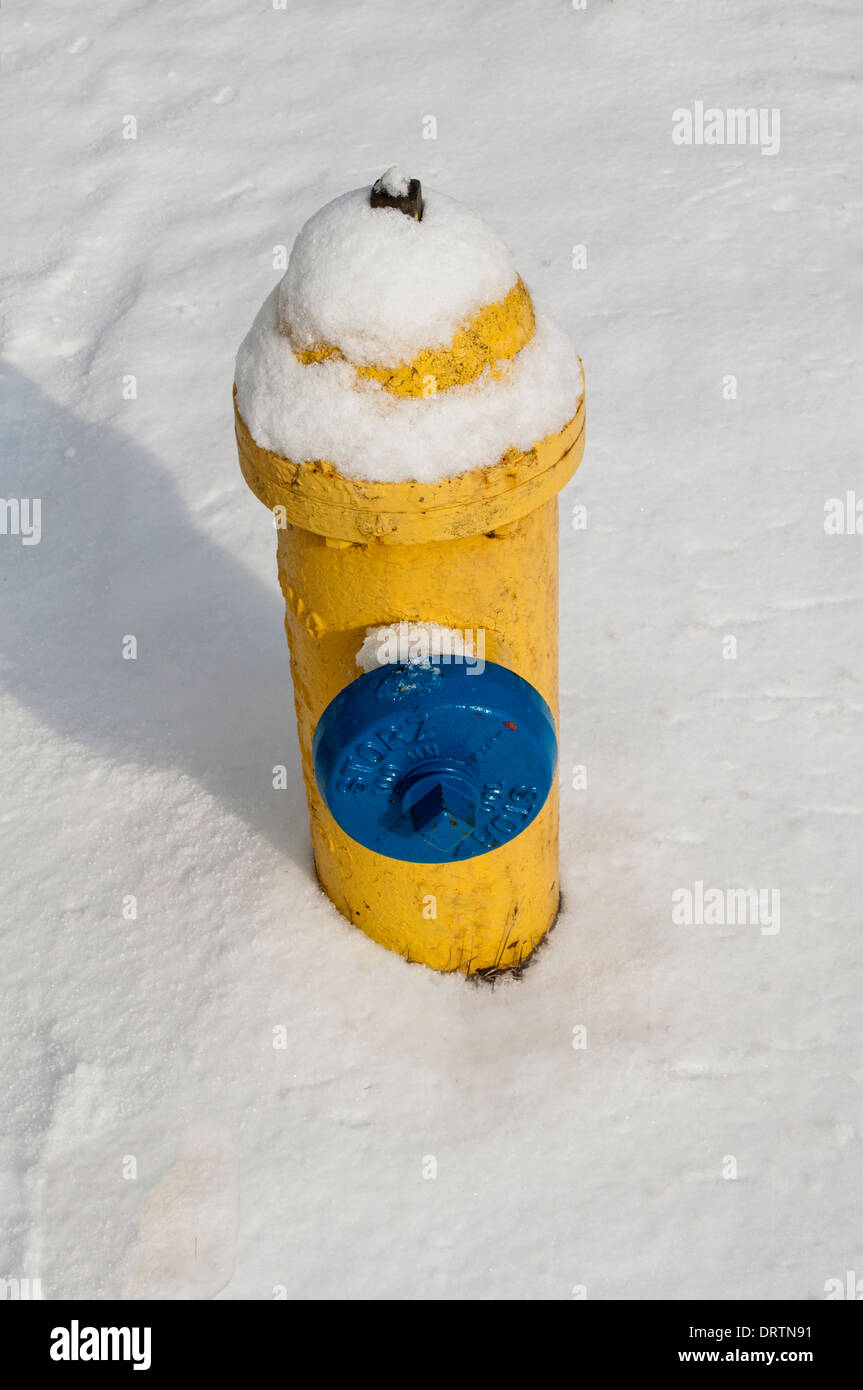 Hydrant Markers Maximum Signs