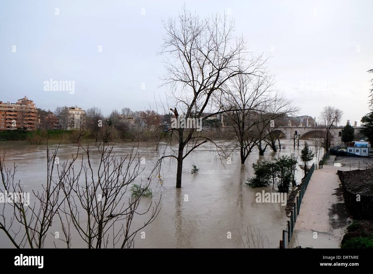 Rome, Italy. 1st Feb, 2014. Severe Weather Alert in Italy. Flood of the Tevere river at the Milvian Bridge, Credit:  Realy Easy Star/Alamy Live News Stock Photo
