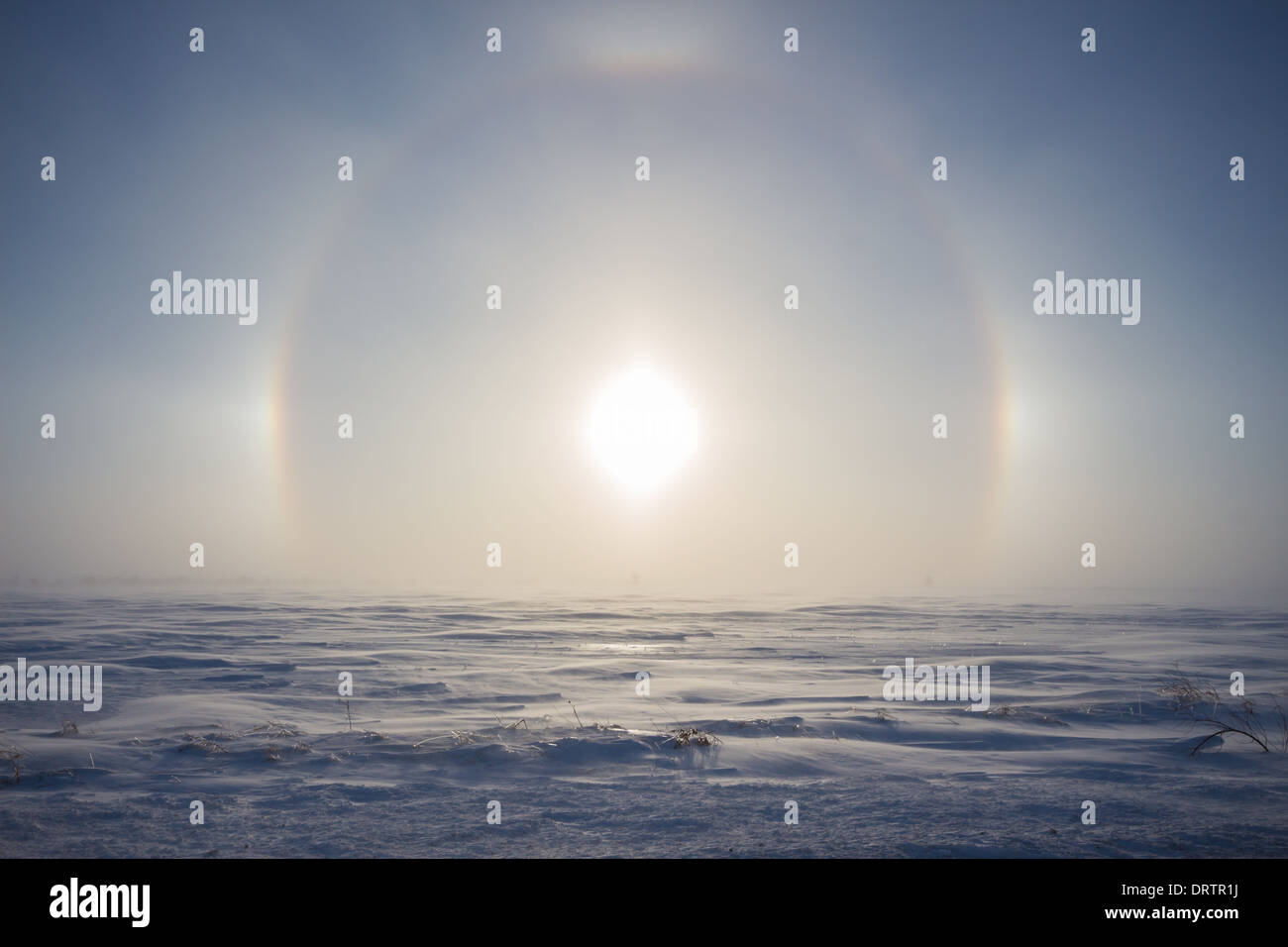 Strong winds and blowing snow create a sundog / parhelion as the sun rises above a cold rural winter landscape in Ontario Canada Stock Photo
