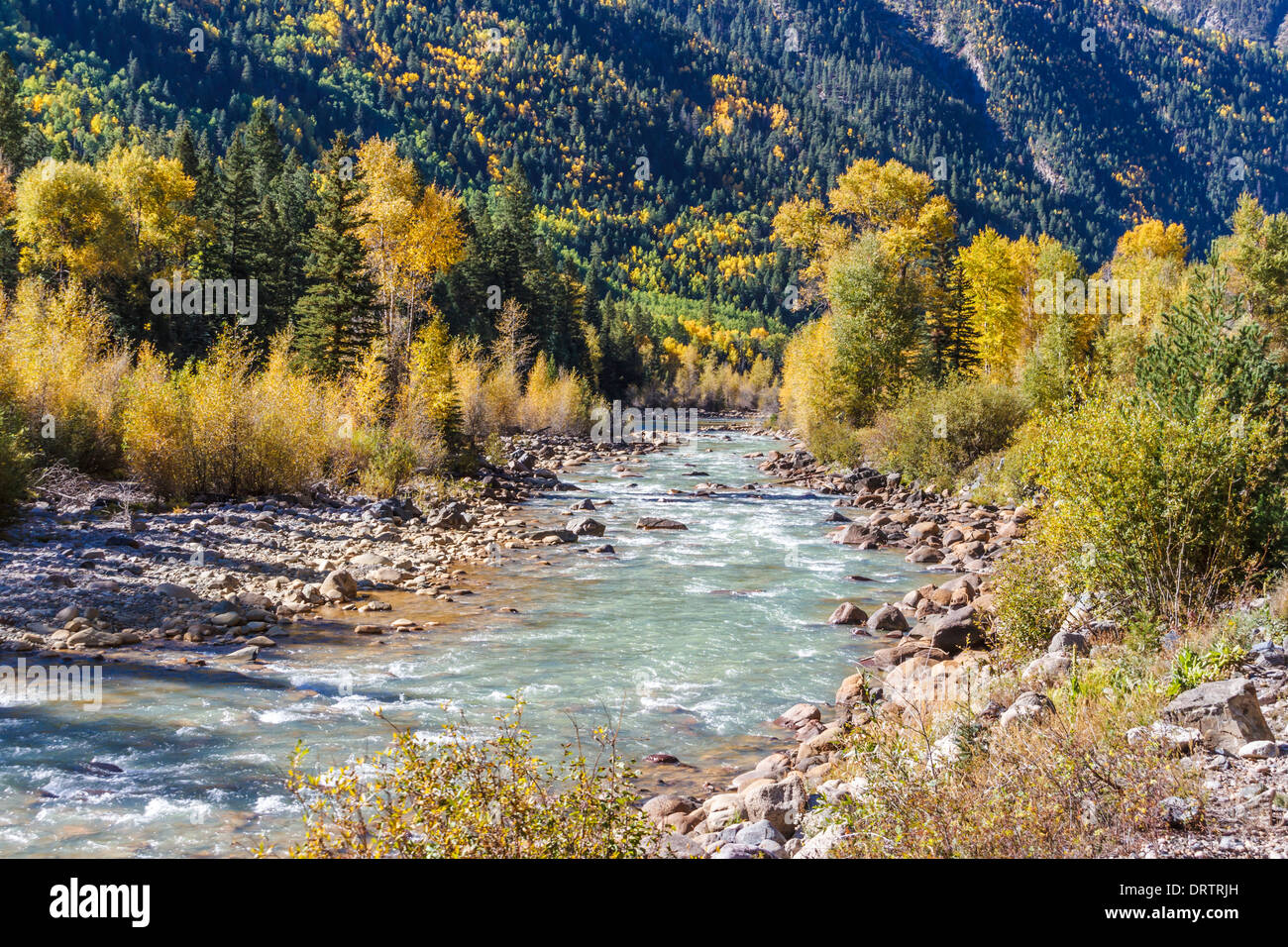 The Animas River in autumn, in the 'San Juan Mountains' of Southwestern Colorado. Stock Photo