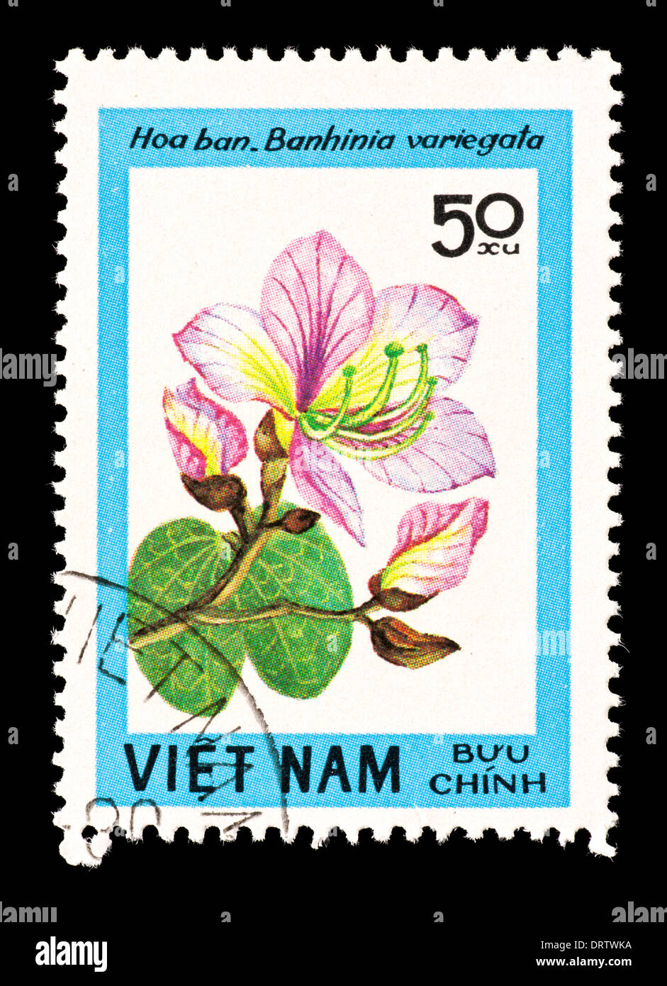 Postage stamp from Vietnam depicting Orchid tree or Camel's Foot Tree ...