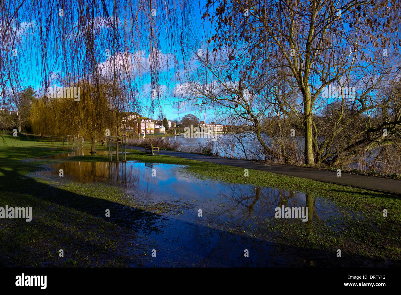 River Thames Radnor Gardens Strawberry Hill Twickenham England UK Stock