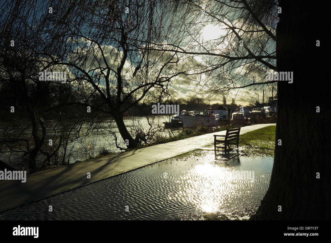 River Thames Radnor Gardens Strawberry Hill Twickenham England UK Stock Photo Alamy