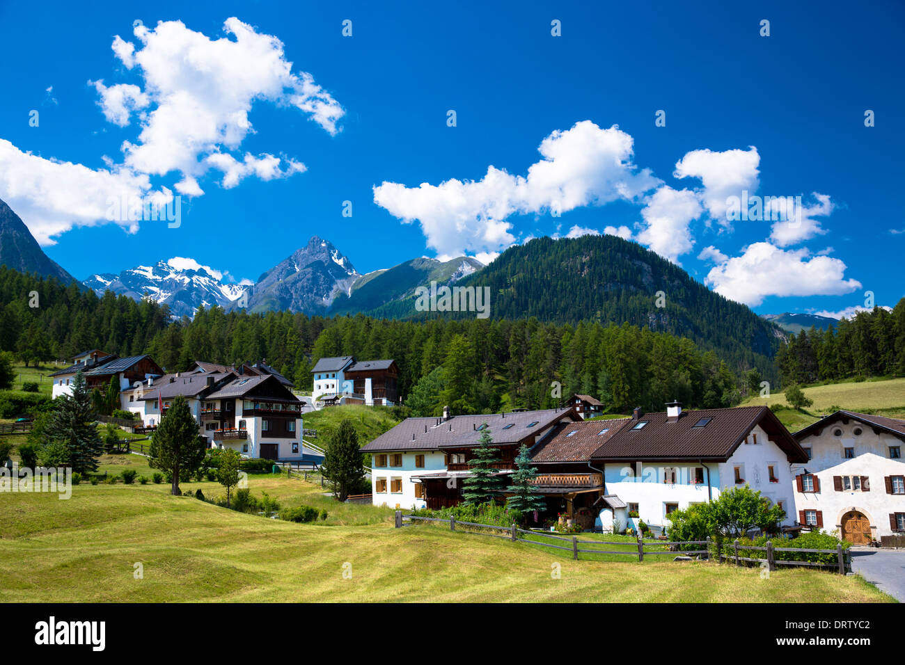 Fontana village surrounded by larch forest in the Lower Engadine Valley, Swiss Alps, Switzerland Stock Photo