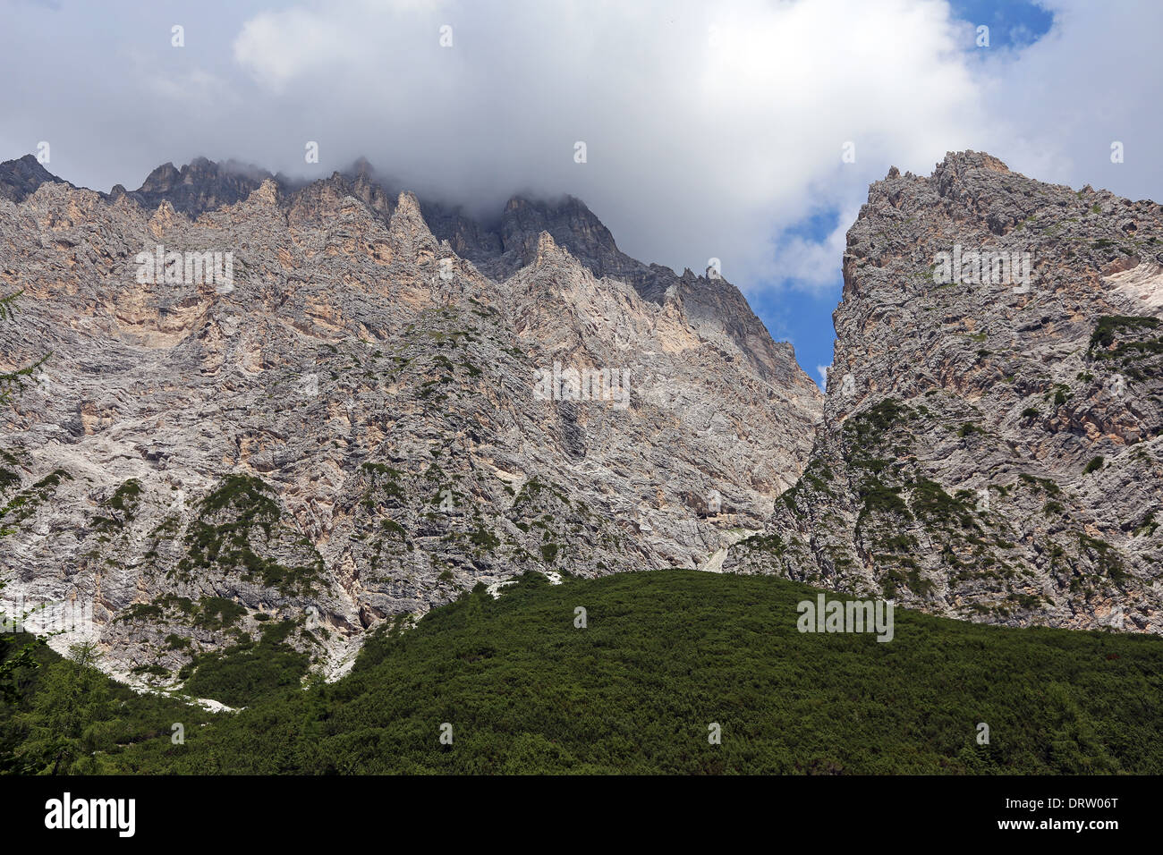 Mountain walls of the Dolomites. Pinus mugo trees. Veento, Italy. Europe. Stock Photo