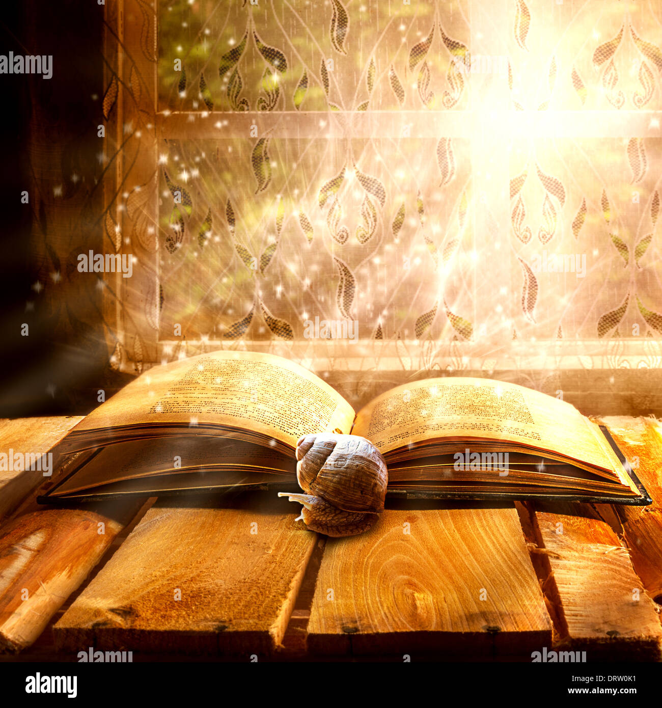 Open old book of magic with the snail Stock Photo