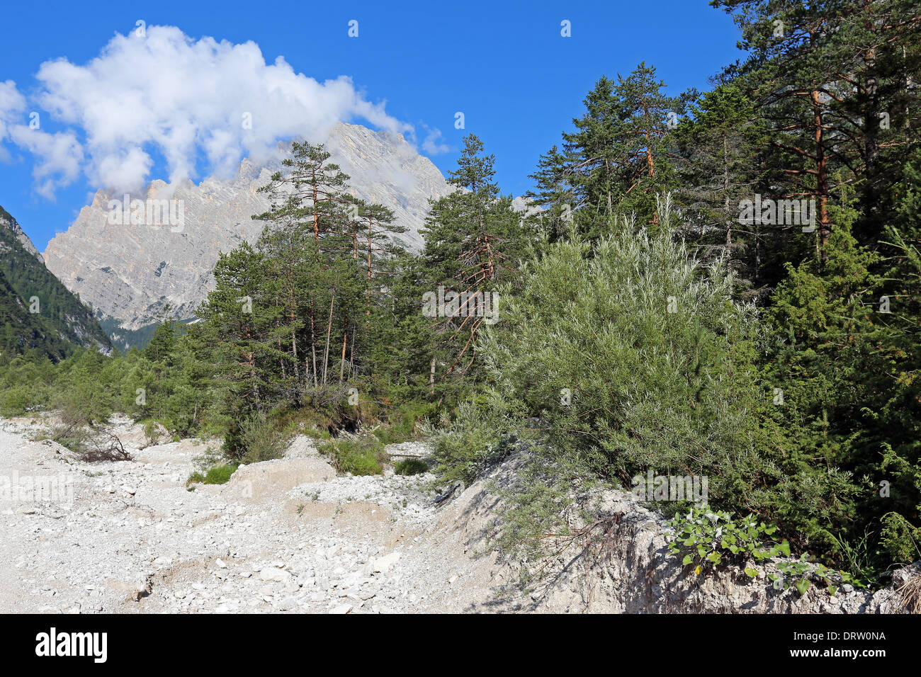 Doten Hi Res Stock Photography And Images Alamy