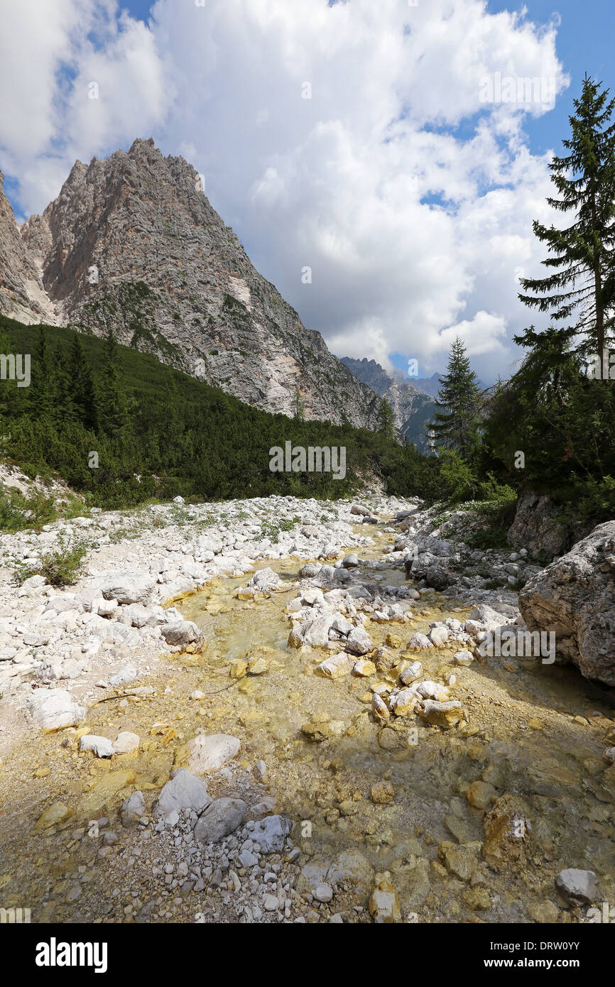 Torrent in the Dolomites. Val d'Oten. Cadore. Stock Photo