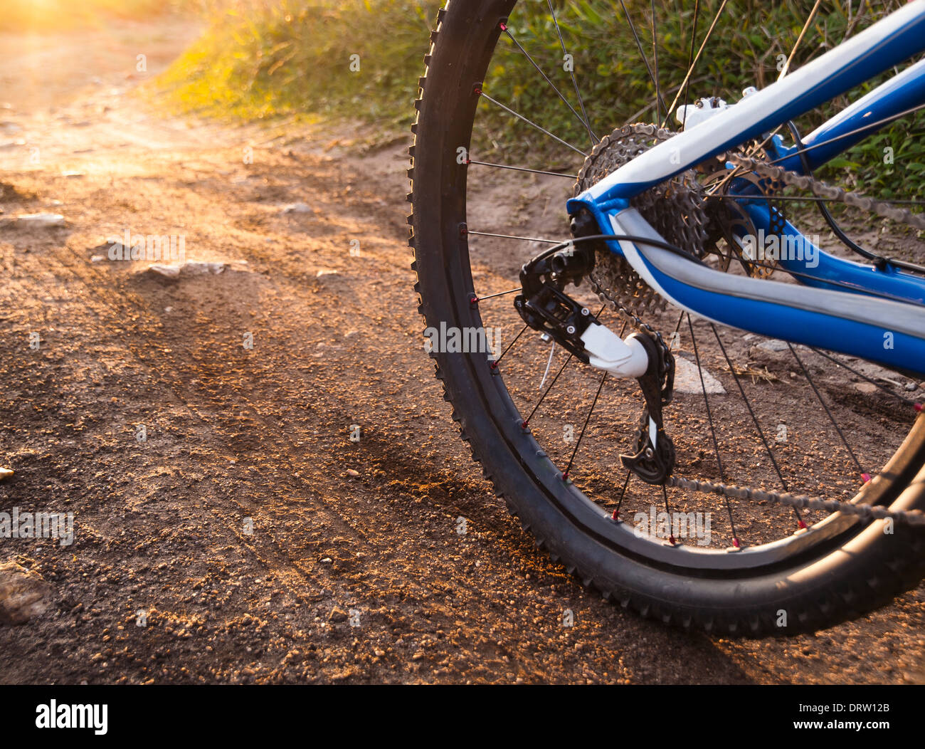 Wheel mountain bike bicycle detail in a sunny day Stock Photo