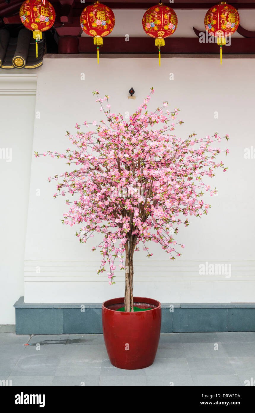 Artificial pink cherry blossoms on a tree to celebrate the Chinese Luna New Year in Singapore Stock Photo