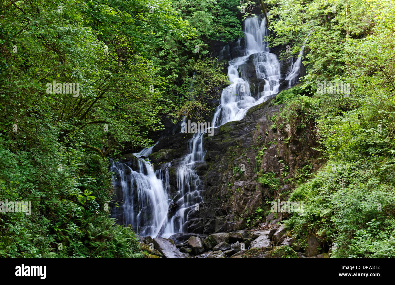 Torc Waterfall in Killarney National Park on the Ring of Kerry, County Kerry, Ireland Stock Photo