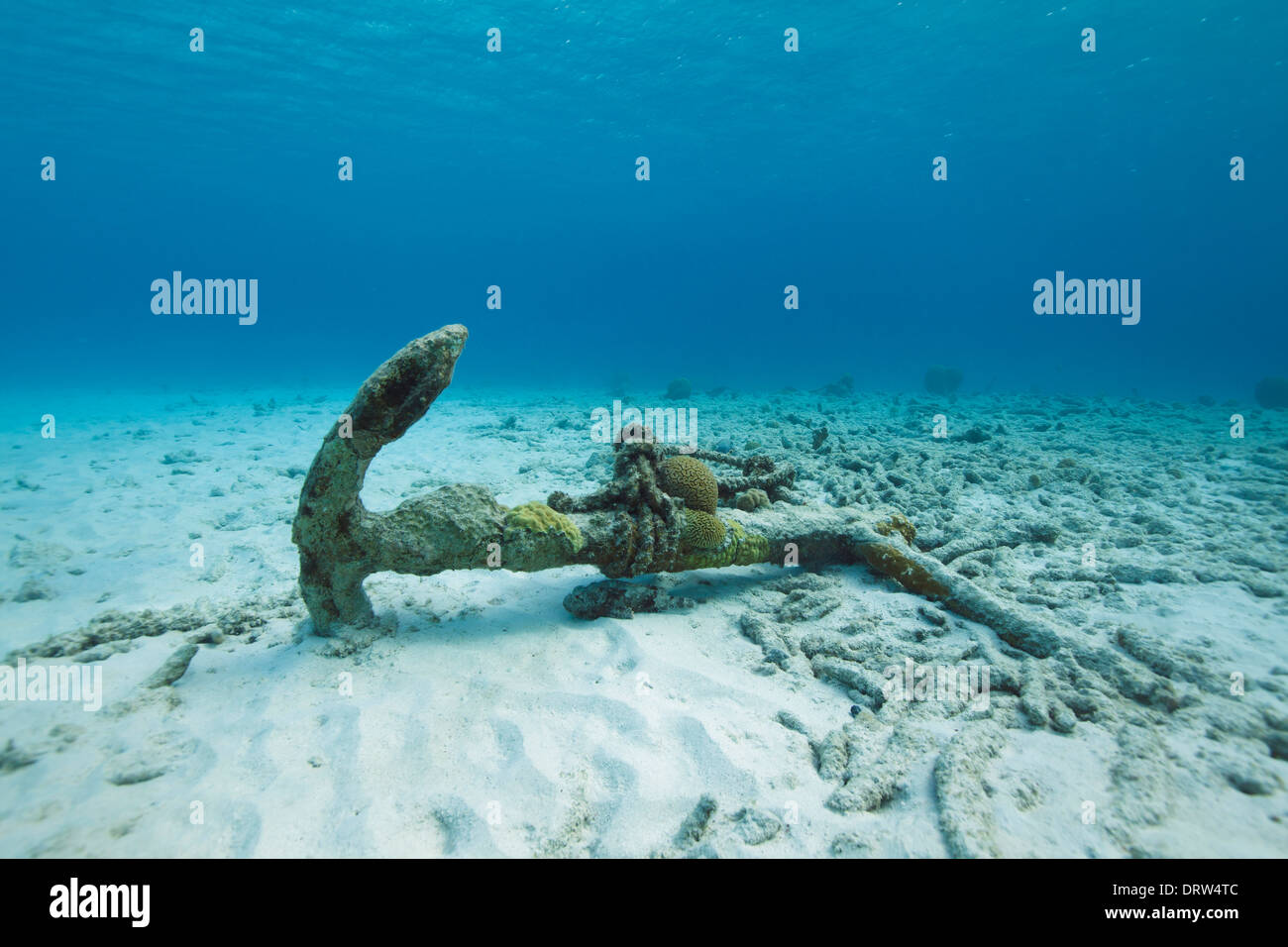 Anchor on the bottom of the sea. Photo V.D Stock Photo - Alamy