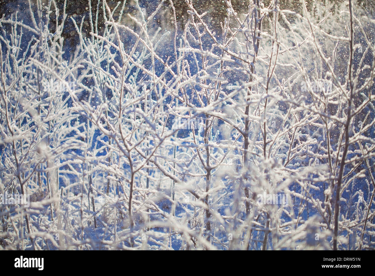 snowfall background light snow falling against sunshine created