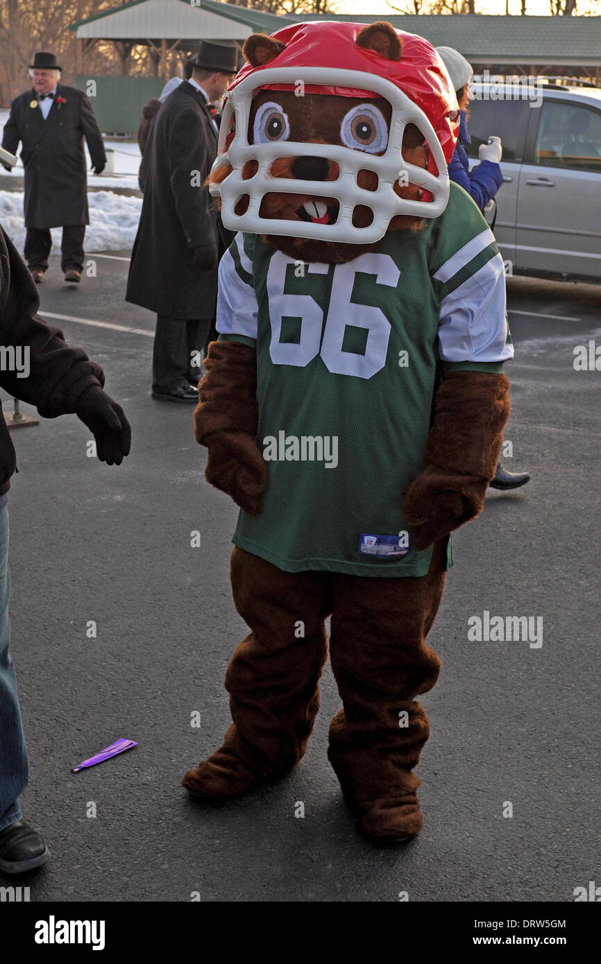 Milltown mel groundhog day celebration hires stock photography and