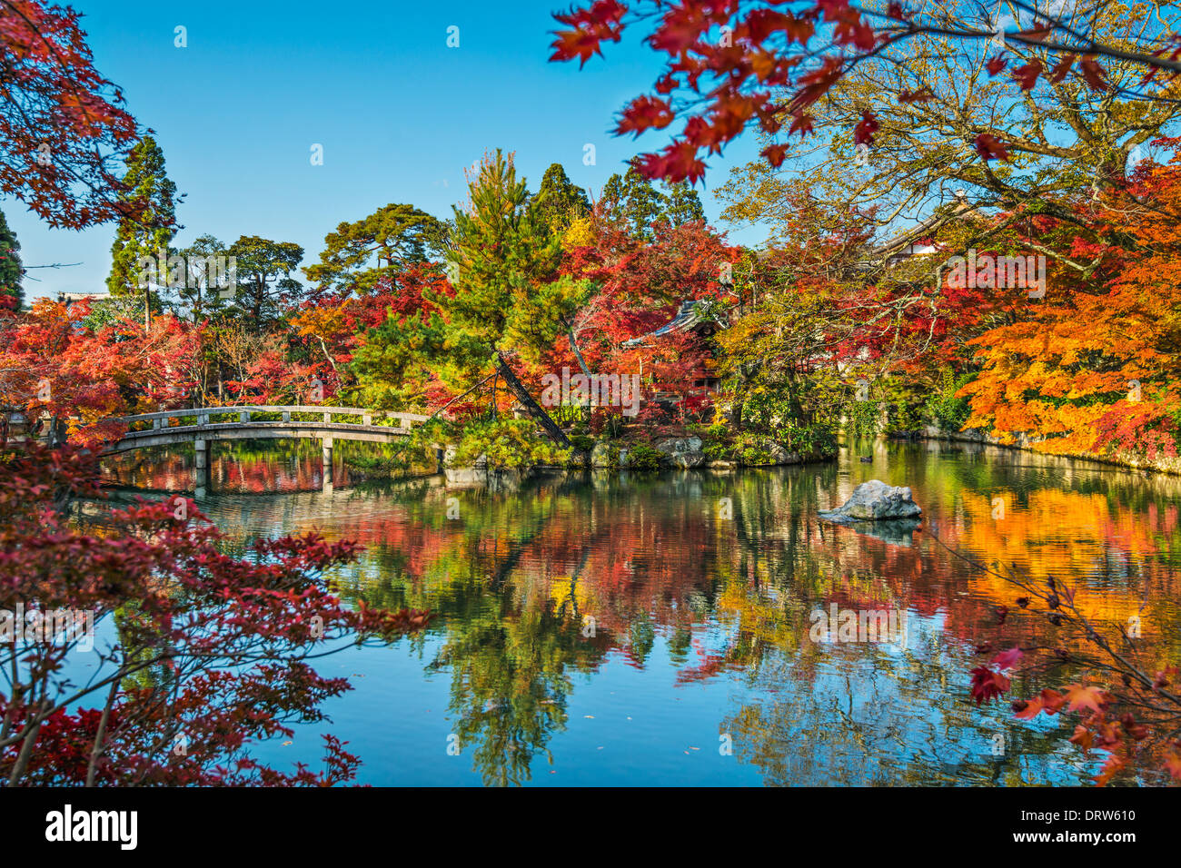 Kyoto, Japan at the pond and bridge of Eikando Temple in the Autumn. Stock Photo