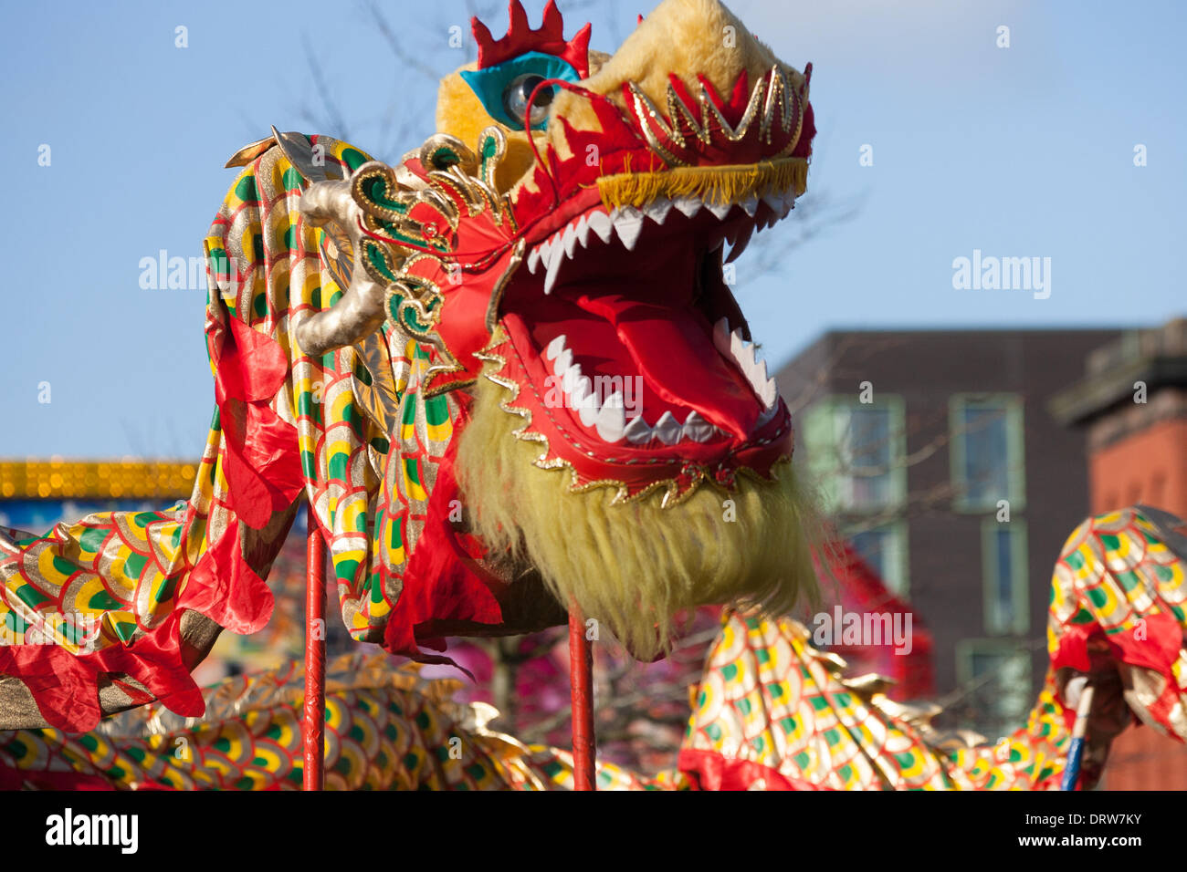 Liverpool, UK. 2nd Feb 2014. A Chinese Dragon puppet during Chinese New Year celebrations in Liverpool Credit:  Adam Vaughan/Alamy Live News Stock Photo