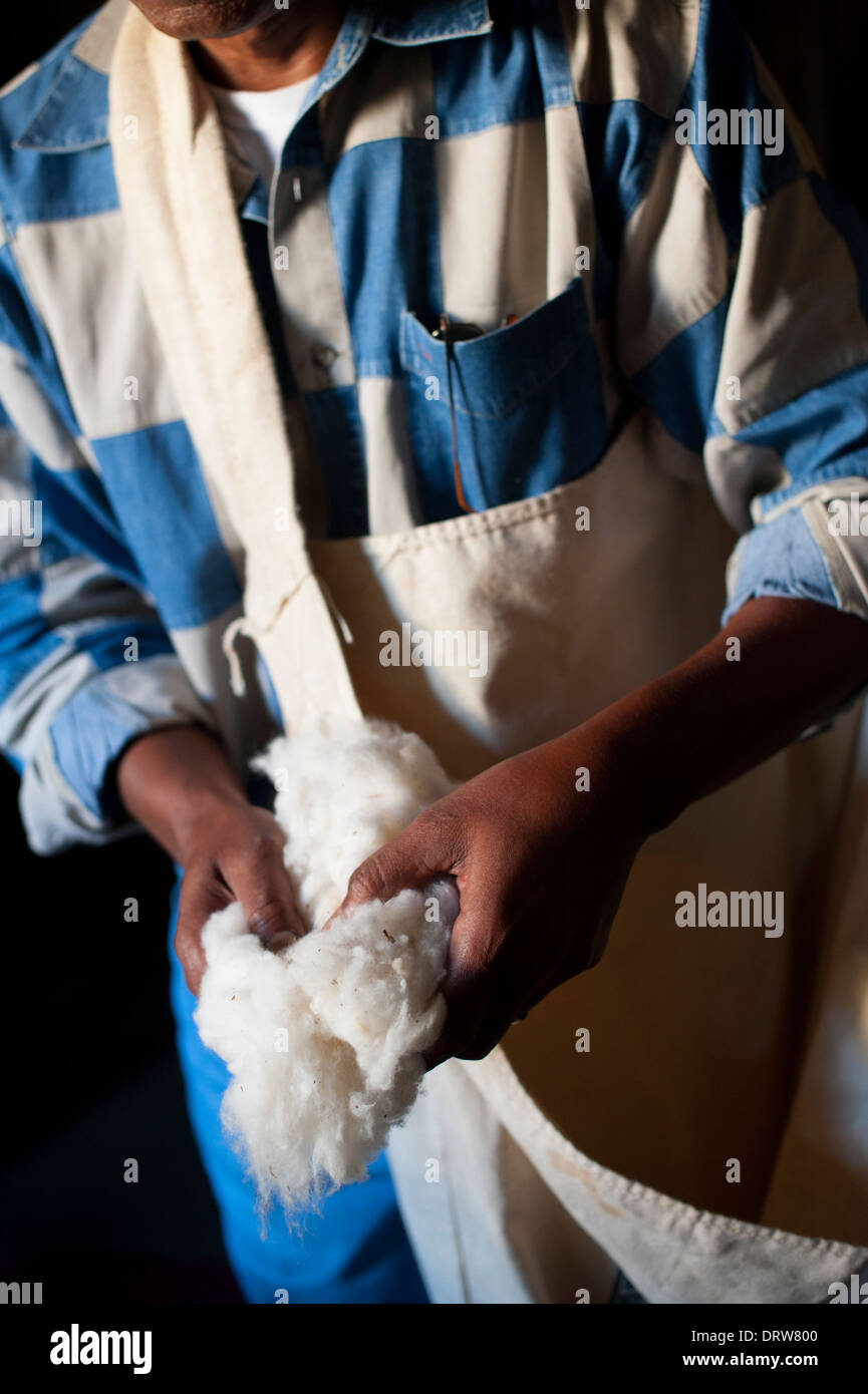 Southern slavery hires stock photography and images Alamy