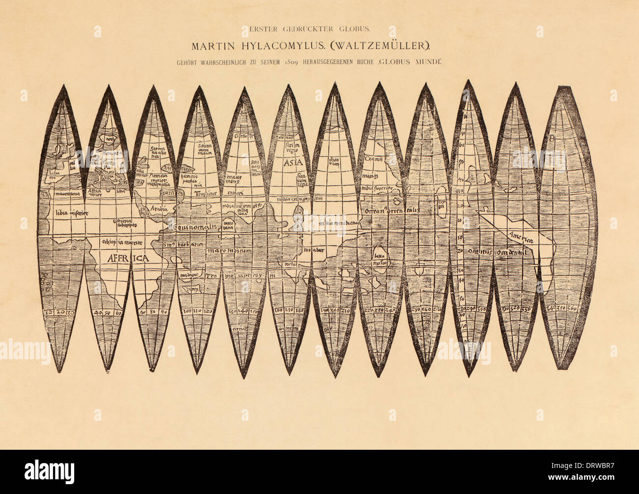 Martin Waldseemüller (1470-1520) German cartographer global gores woodcut illustration from Globus Mundus 1509. Stock Photo