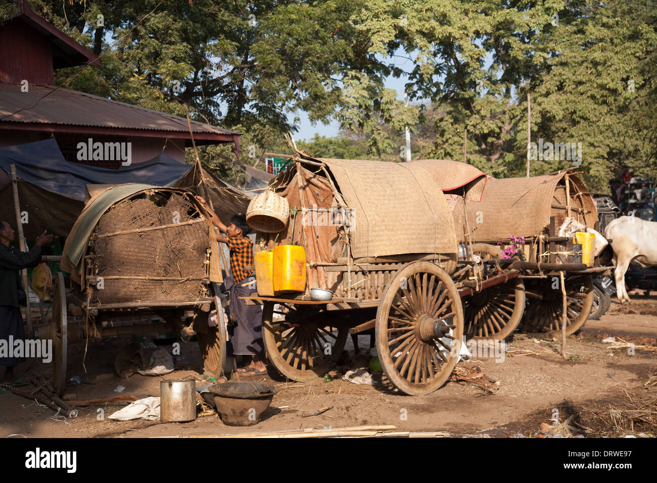 Ox cart caravan hi-res stock photography and images - Alamy