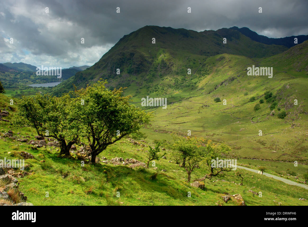 Tree-lined Welsh valley in the Snowdonia National Park, Wales Stock Photo