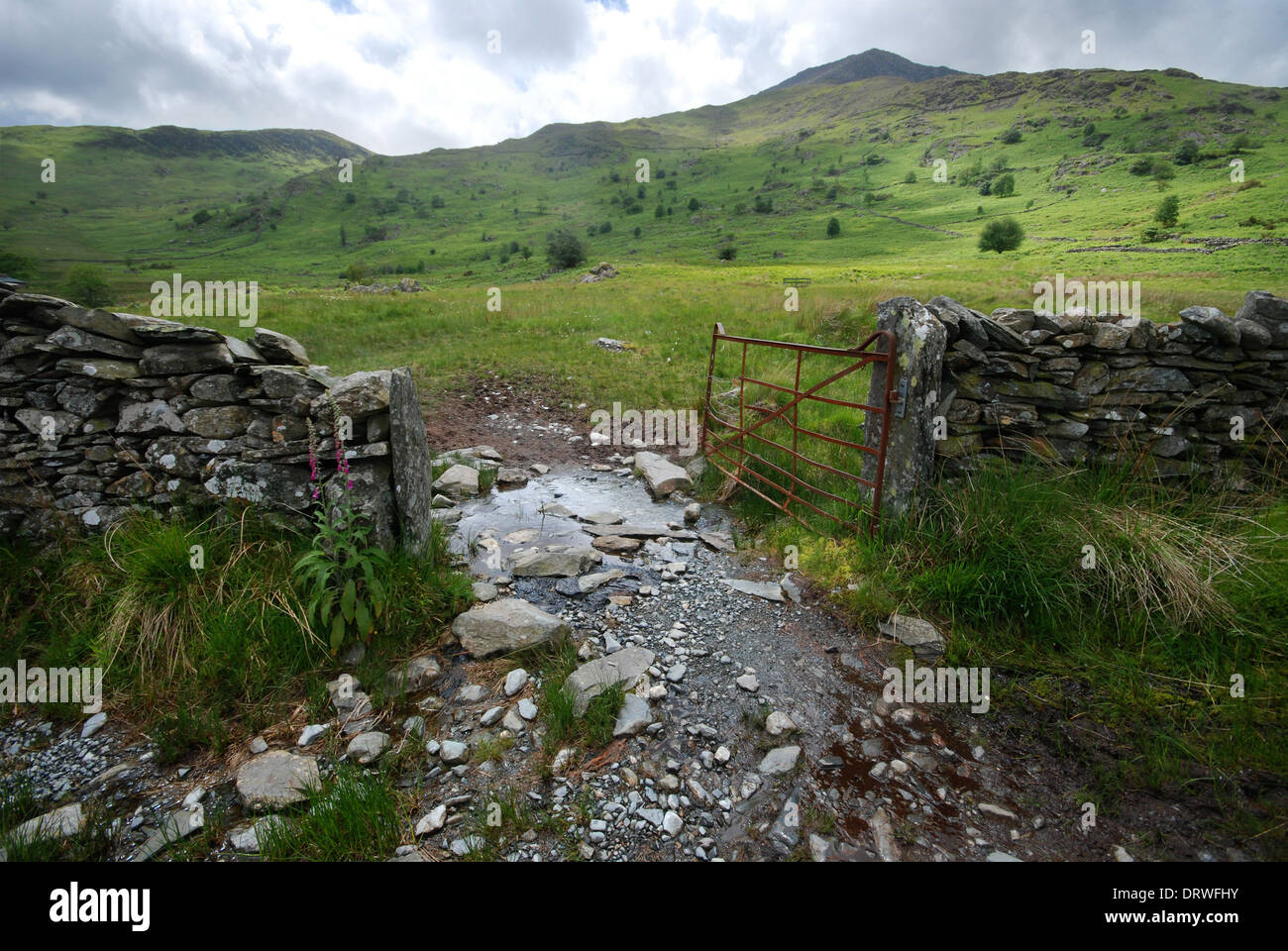 Open gate to a field in the Snowdonia National Park, North Wales Stock Photo