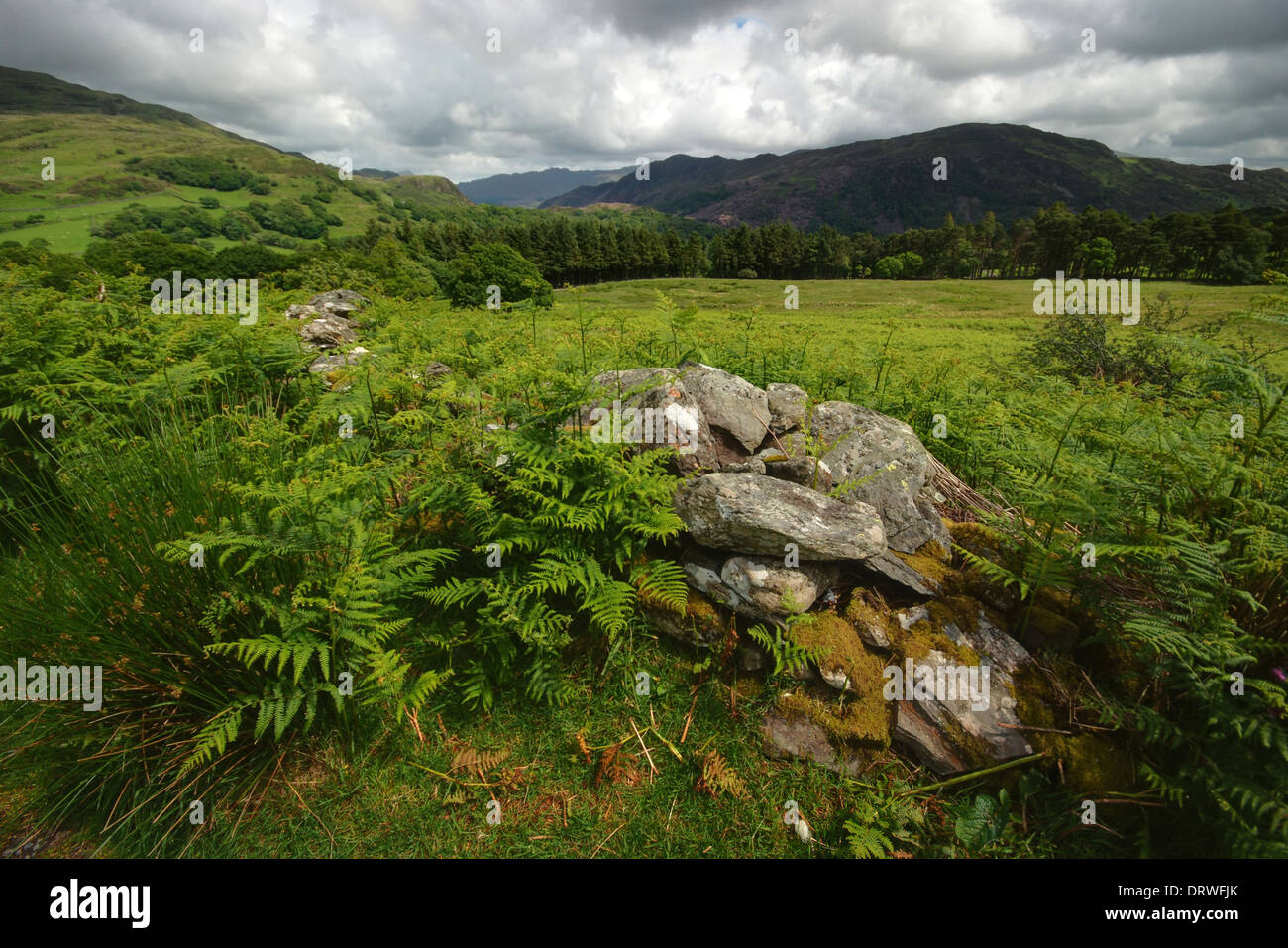 Welsh landscape in the Snowdonia National Park Stock Photo