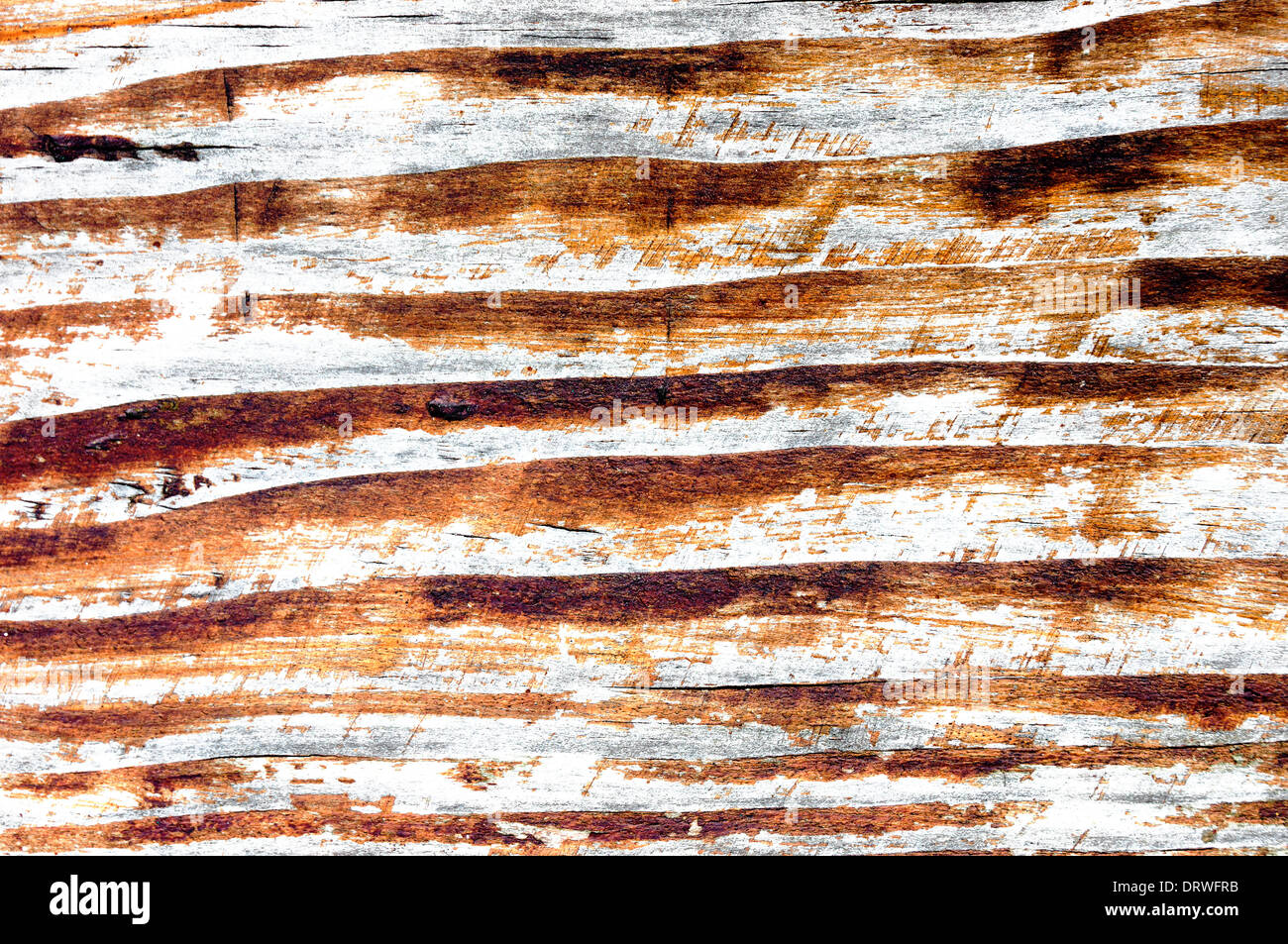 background of cracked and old wood textures Stock Photo