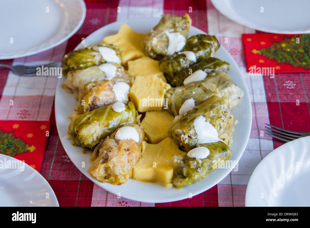 Romanian traditional cuisine, sarmale (rolls stuffed cabbage with meat) and polenta. Stock Photo