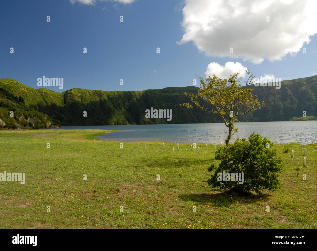 Picnic area at the North of Lagoa Azul, Sao Miguel Island, Azores, Portugal Stock Photo